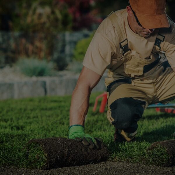 Comment réussir sa reconversion pour devenir paysagiste ?