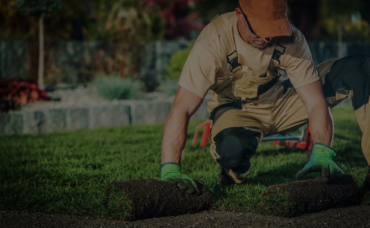 Comment réussir sa reconversion pour devenir paysagiste ?