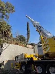 grue Paysagistes Alsace Lait