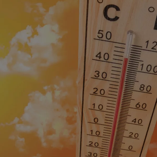 Gérer une canicule dans le BTP